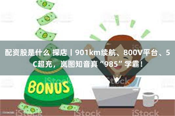 配资股是什么 探店丨901km续航、800V平台、5C超充，岚图知音真“985”学霸！