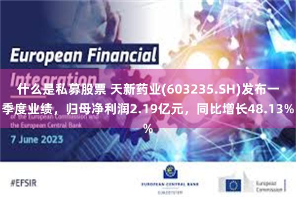 什么是私募股票 天新药业(603235.SH)发布一季度业绩，归母净利润2.19亿元，同比增长48.13%