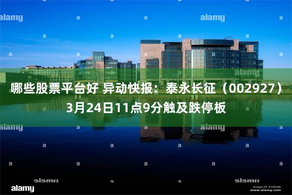 哪些股票平台好 异动快报：泰永长征（002927）3月24日11点9分触及跌停板
