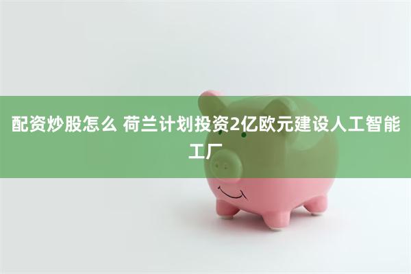 配资炒股怎么 荷兰计划投资2亿欧元建设人工智能工厂